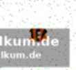 Zwischen licht und schatten