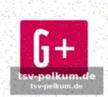 Stars auf dem platz und im publikum
