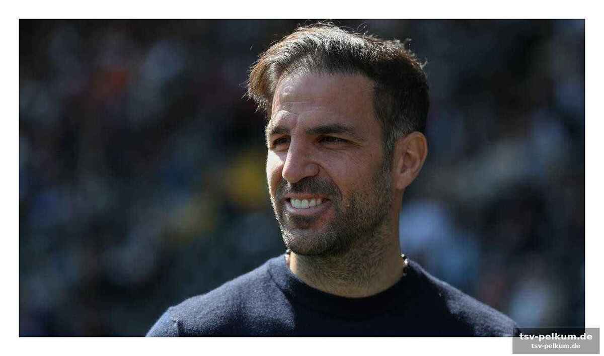 Doppelte erleichterung für fabregas: rodriguez und ramon wieder einsatzbereit