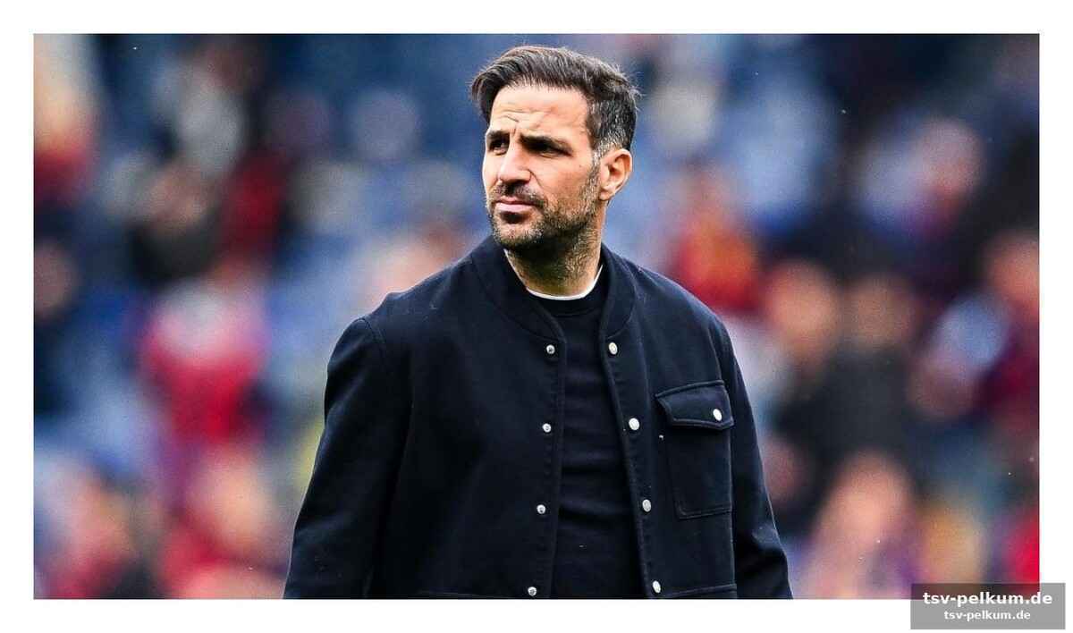 Fabregas über paz und die personalsituation