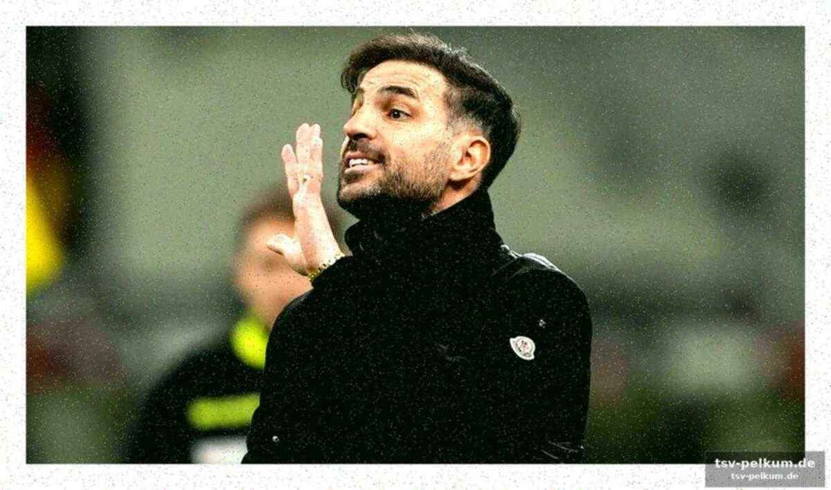 Die kaderzahlen sprechen für fabregas