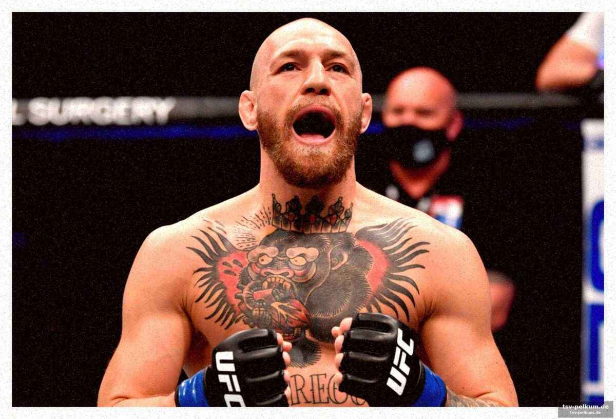Ufc white house: die große bühne