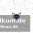 Flagg selbst: reflektierte analyse und lernbereitschaft