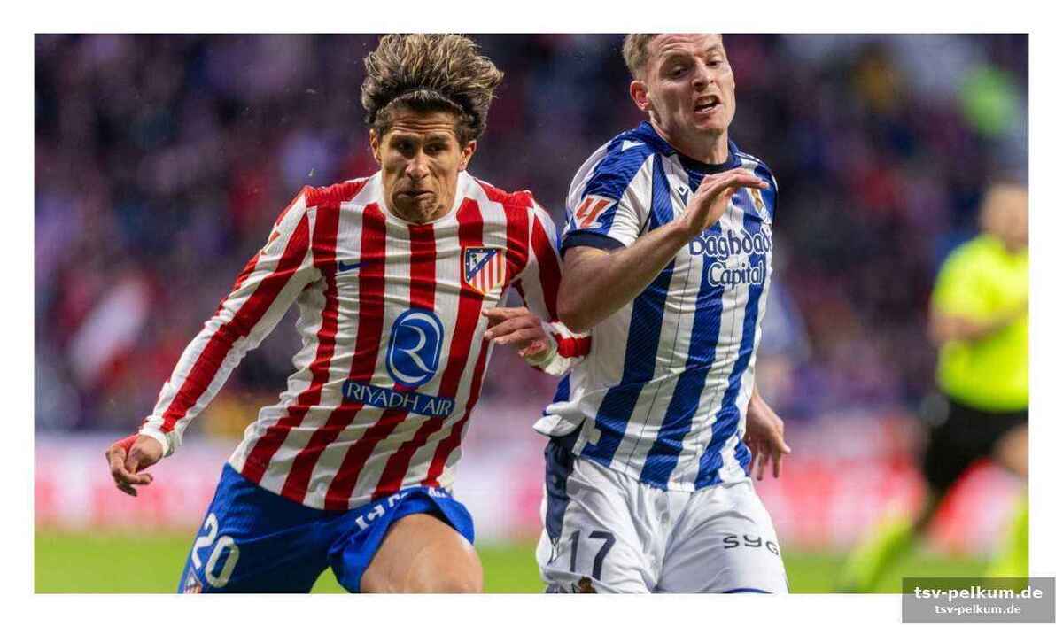 Die real sociedad: nachhaltigkeit und die kraft der gemeinschaft