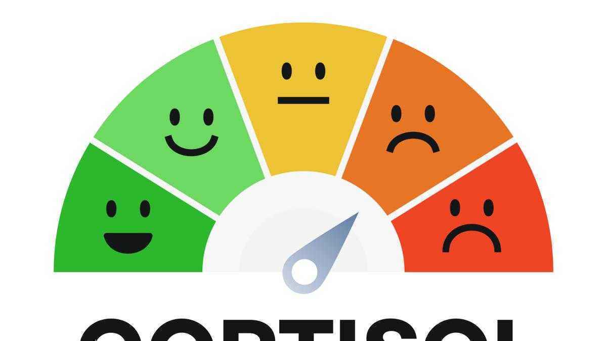Cortisol-alarm: warum dein körper plötzlich wie ein hochleistungsmotor läuft