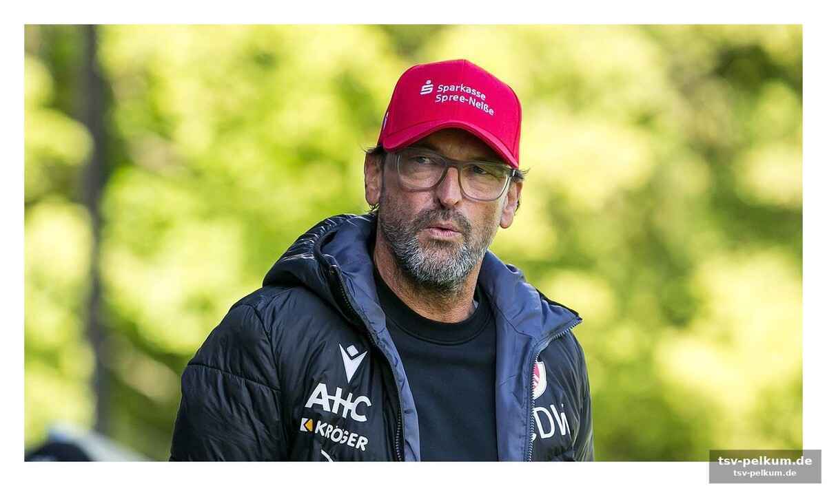 Die fragezeichen um wollitz