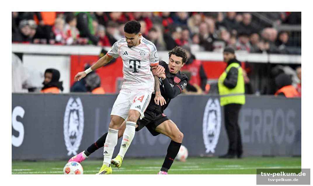 Keine angst vor den stars – nur respekt und der wille zum siegen