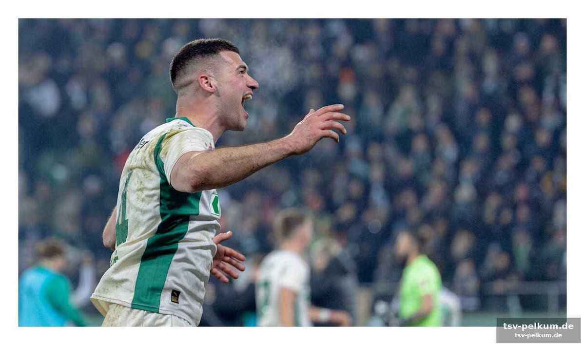Yverdon sport fc gegen st. gallen: kann yverdon den druck aushalten?