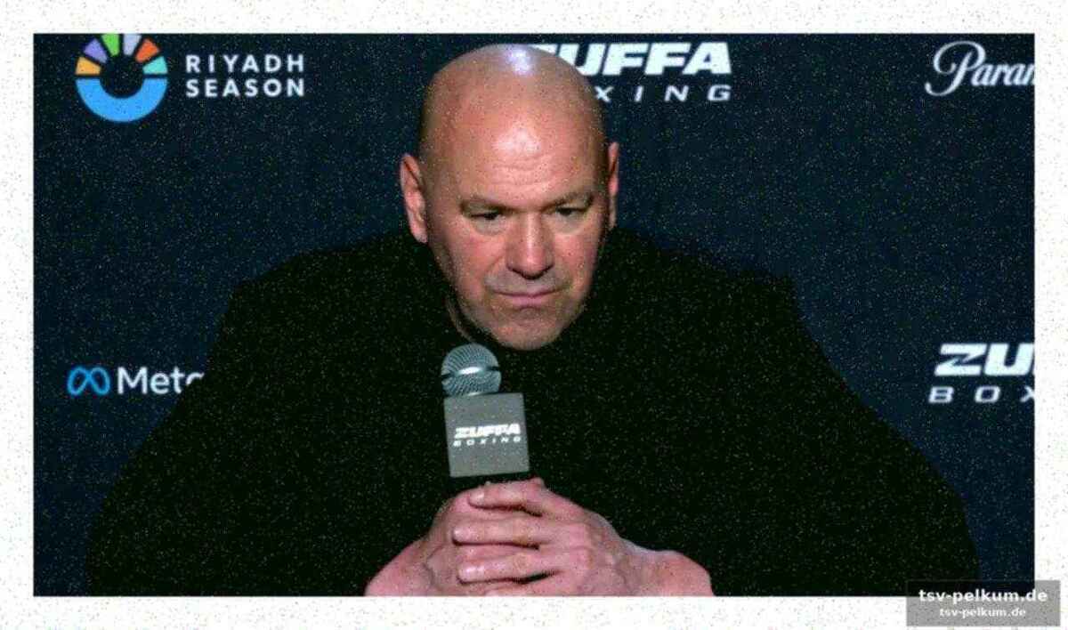 Ergebnisse von zuffa boxing 3: ajagba und dzambekov glänzen