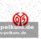 Ein traum wird wahr?