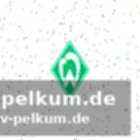 Die herausforderungen für den neuen trainer