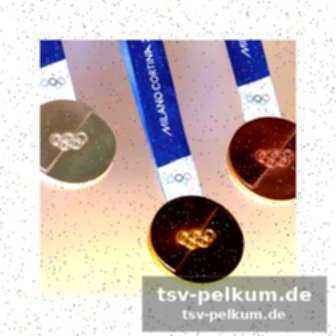 Der weg zum erfolg: von alpin zum skicross