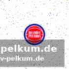Starke leistungen überzeugten die pistons