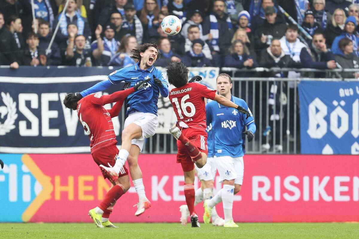 Darmstadt 98 erklimmt die tabellenspitze – maglica schießt lilien zum sieg gegen düsseldorf