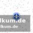 Elversberg dominiert braunschweig