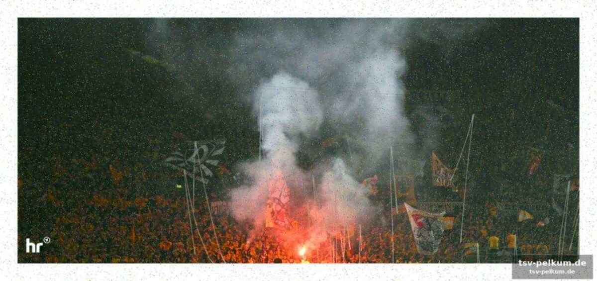 Starke leistungskurve der lilien