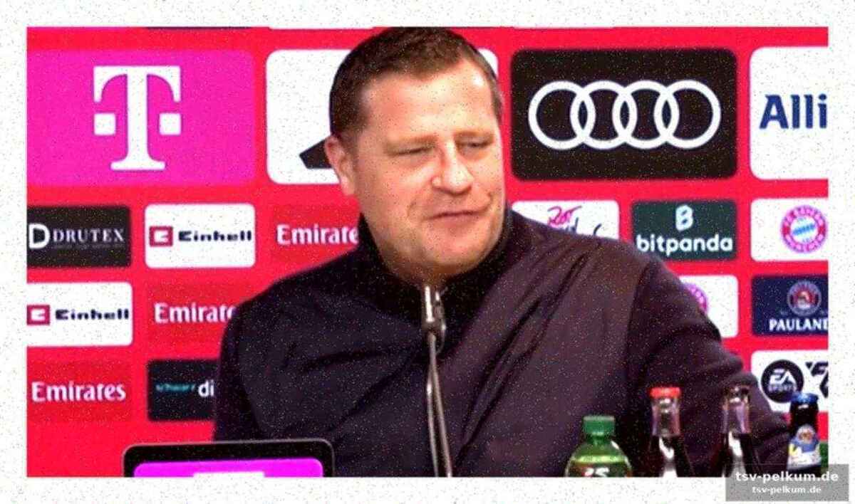 Dynamo dresden klettert aus der abstiegszone