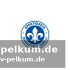 Nürnberger fehlt weiter: hoffnungsschimmer für hornby und pfeiffer?
