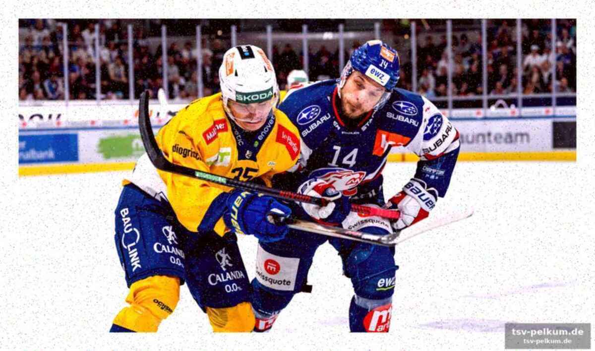 Die statistiken lügen nicht: zsc war knapp überlegen