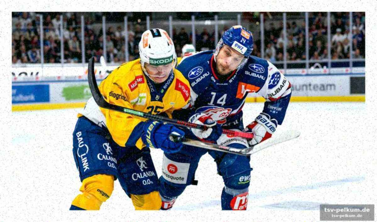 Die 5-gegen-5-dominanz der zsc lions