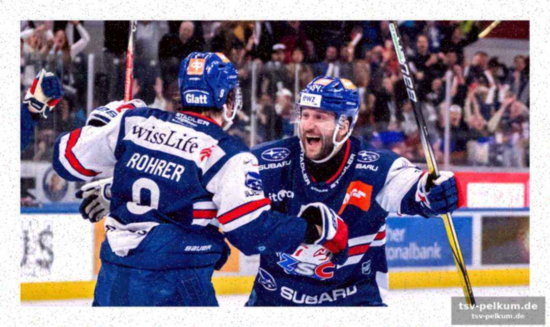 5 Gegen 5: die zsc lions sind die dominatoren