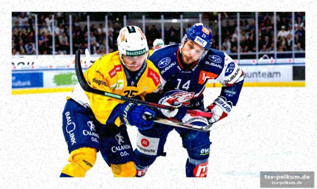 Torhüterduell im fokus: aeschlimann und hrubec liefern ab