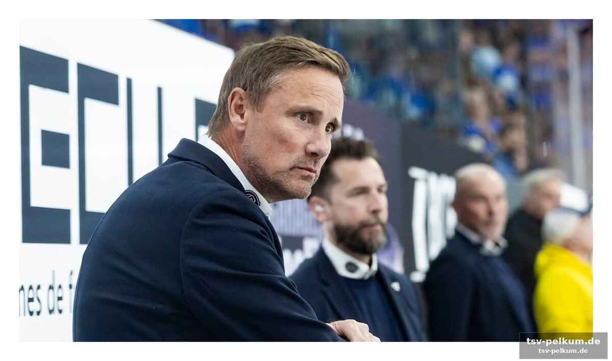 Timeout zahlt sich aus – gottéron findet zurück ins spiel