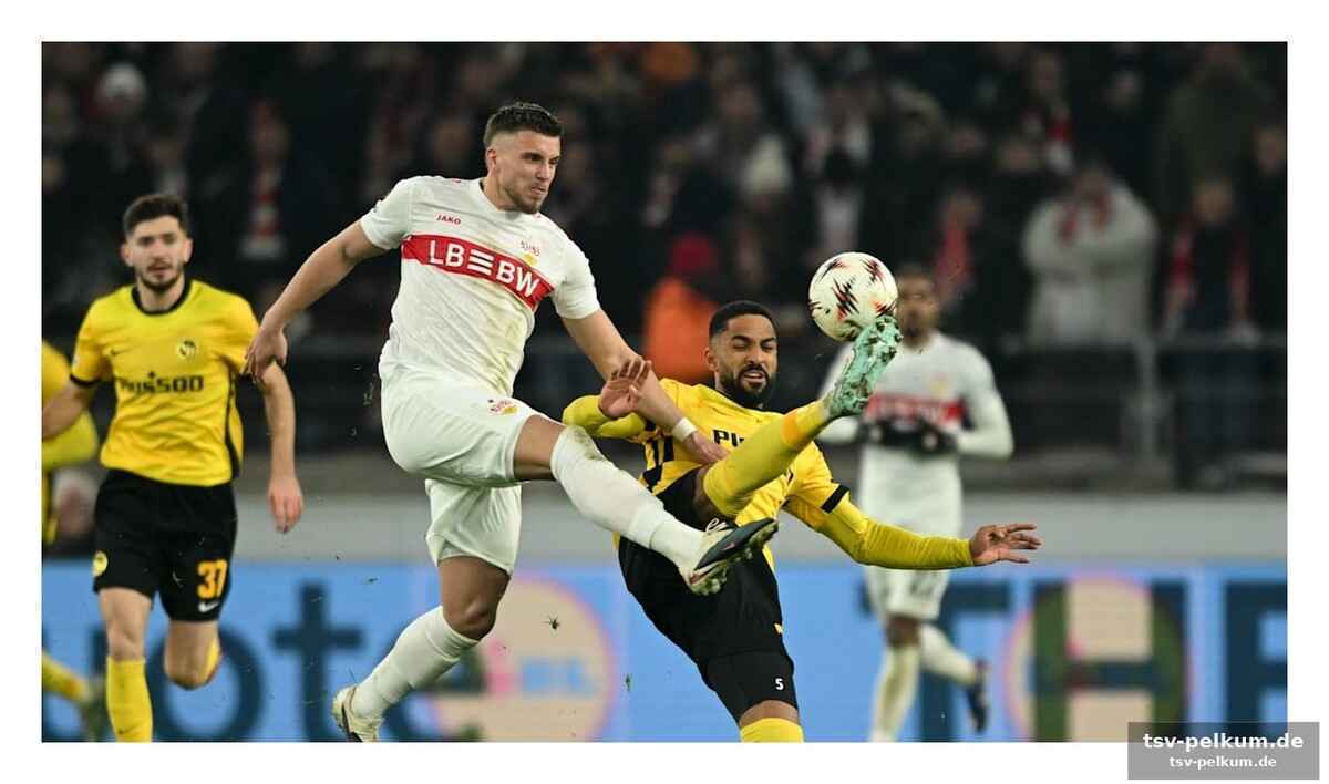 Mehr als nur fussball: ein sportparadies