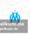 Die suche nach einem nachfolger beginnt