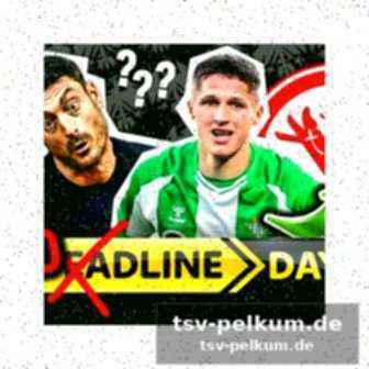 Düsseldorf feiert heimsieg