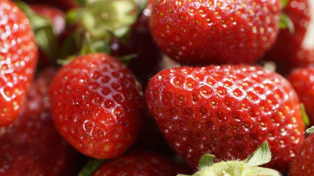 Dein obst-gemüse-schrank wird zur chemiefalle