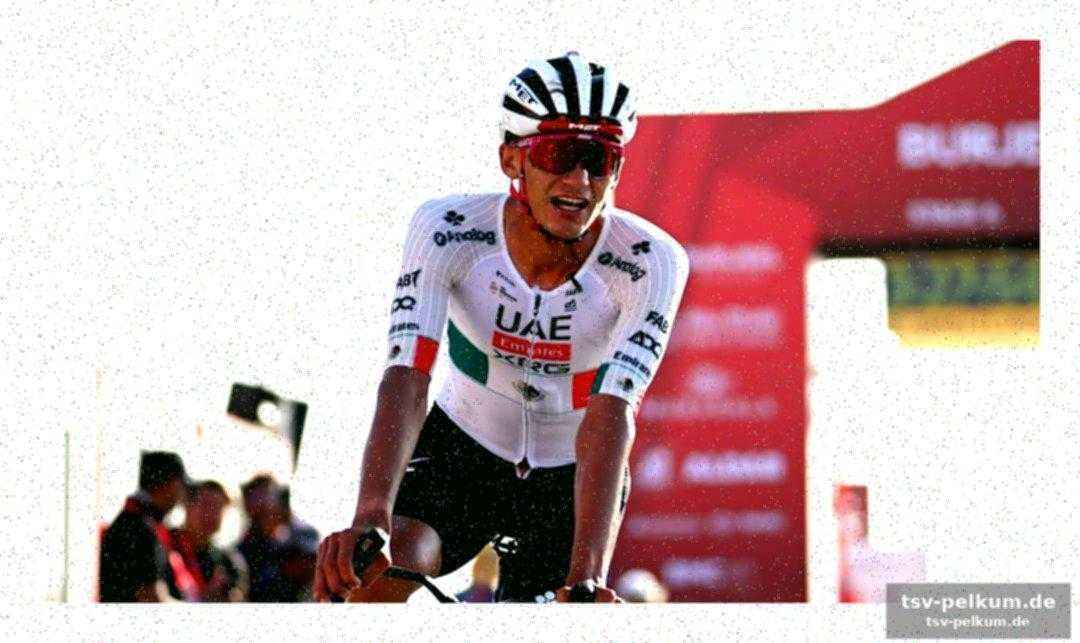 Dominanz am jebel hafeet