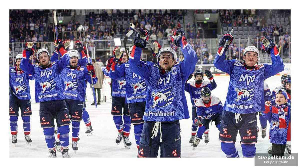 Die eisbären als rekordmeister – mannheim will die negativserie brechen