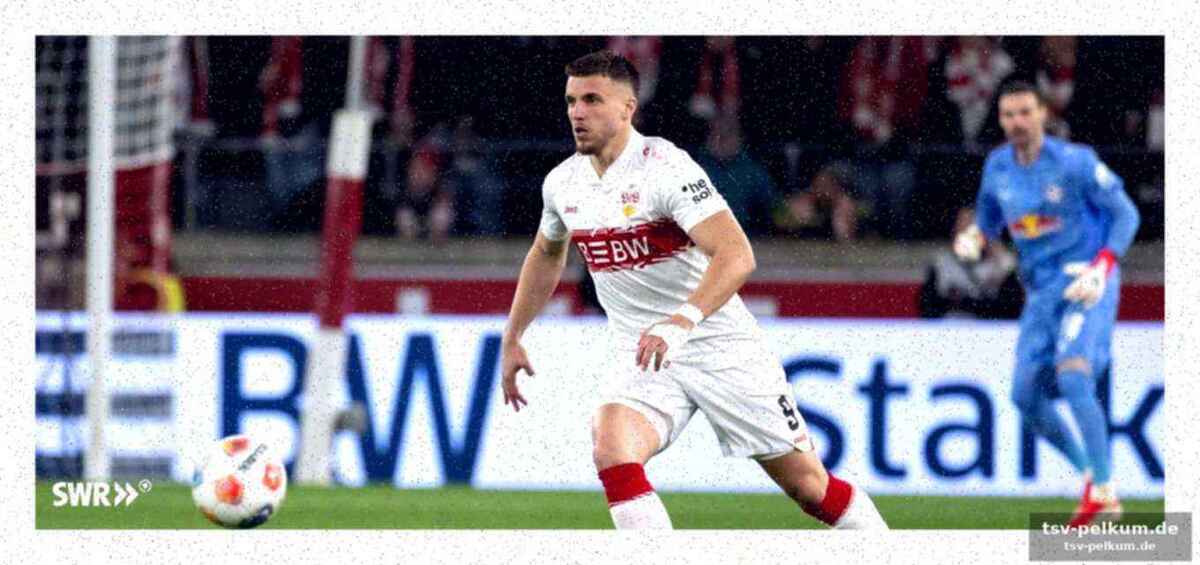 Trainer hoeneß lobt demirovic