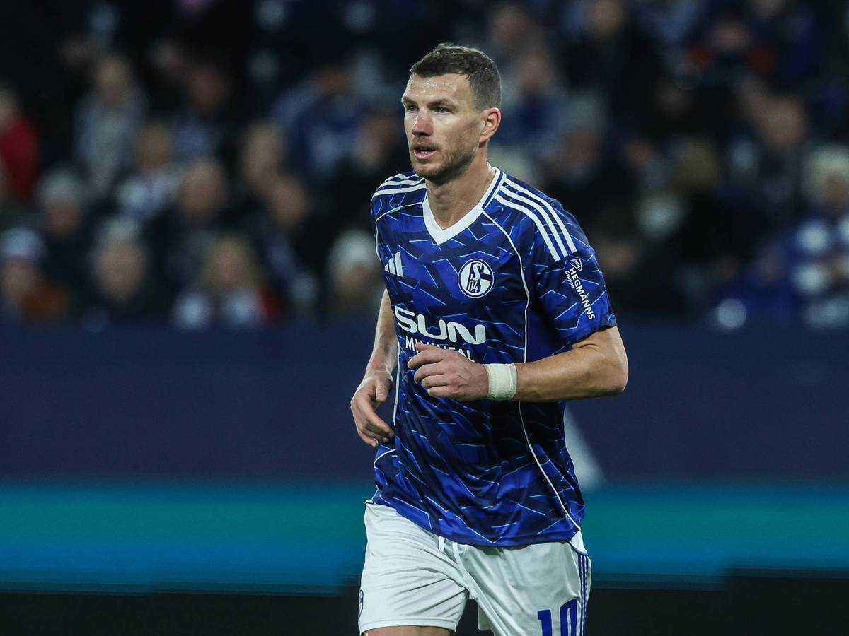 Demirovic schwärmt von dzeko: schalke-fan im vfb-trikot