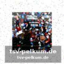Sicherheitsbedenken und die rolle der versicherungen