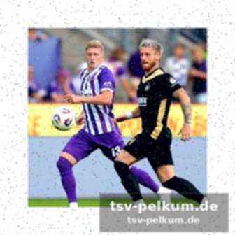 Die aufstellung des fcm