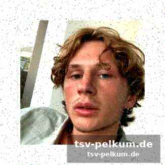 Leão und esposito – zwei pferde, eine stadt