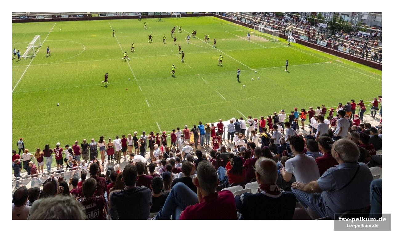 Ein stadion in granata-farben