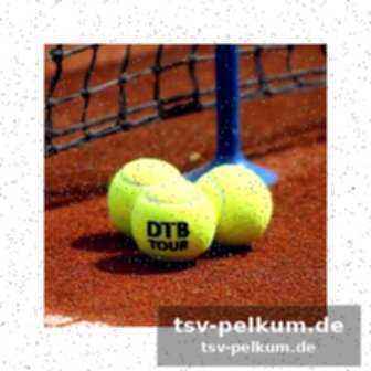 Zverev fehlt noch im team