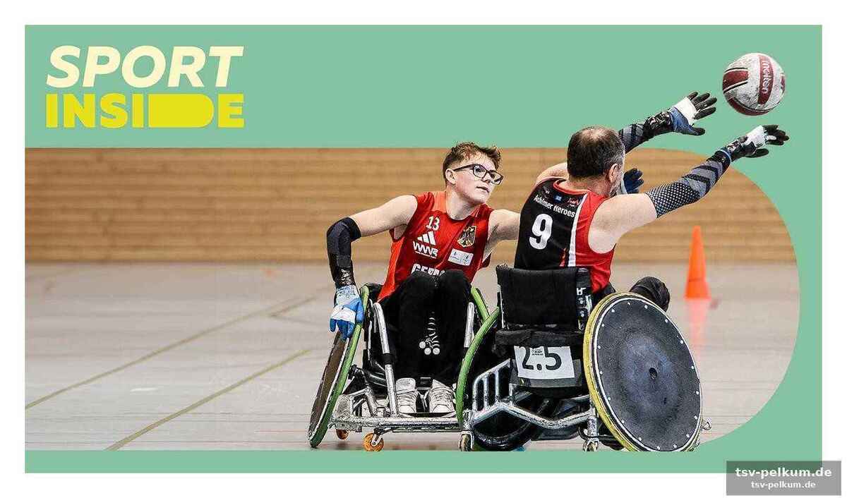 Ein appell an die politik und die sportverbände