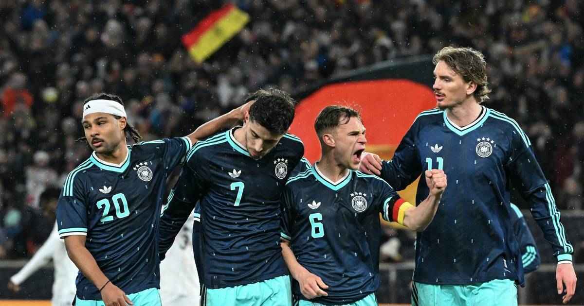 Dfb setzt auf google: ki-support für wm-fans!