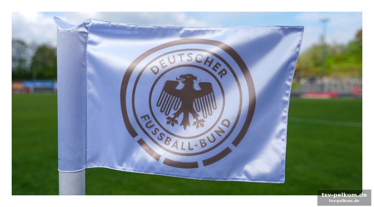 Warum der dfb jetzt zahlt