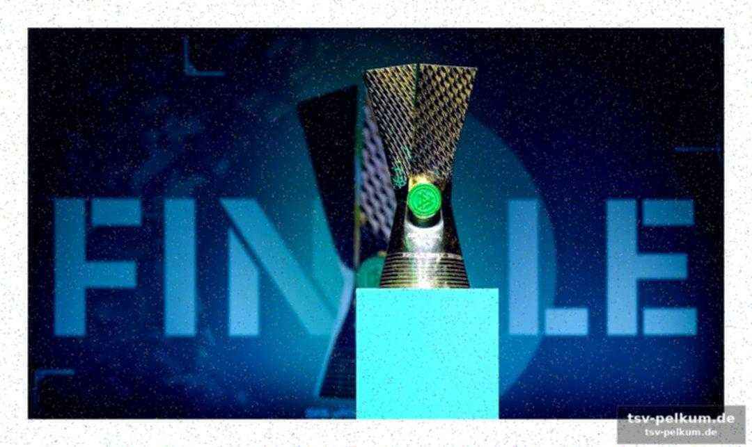 Die bereits qualifizierten teams