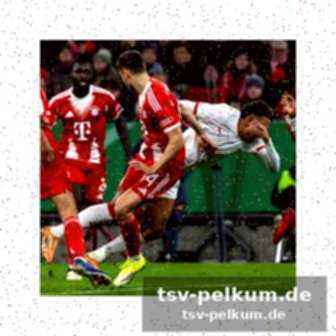 Termine für die halbfinalspiele