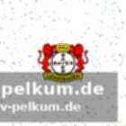 Stärken und schwächen im fokus