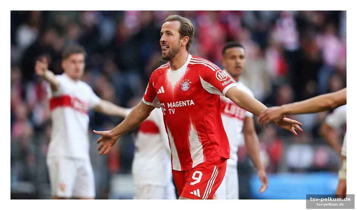 So sehen sie die halbfinalspiele live im fernsehen