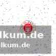 Auslosung und termine