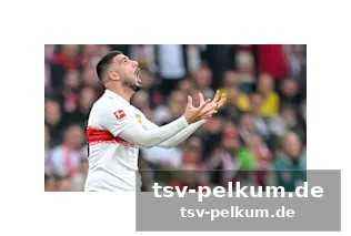 Live im free-tv und online