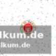 Die übertragung im tv und stream